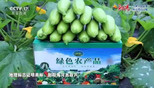 火遍全國！射陽綠色農(nóng)產(chǎn)品宣傳片刷屏央視、江蘇衛(wèi)視黃金時(shí)段